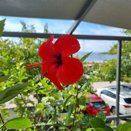 Apartman Ruza Podgora Eksteriør billede